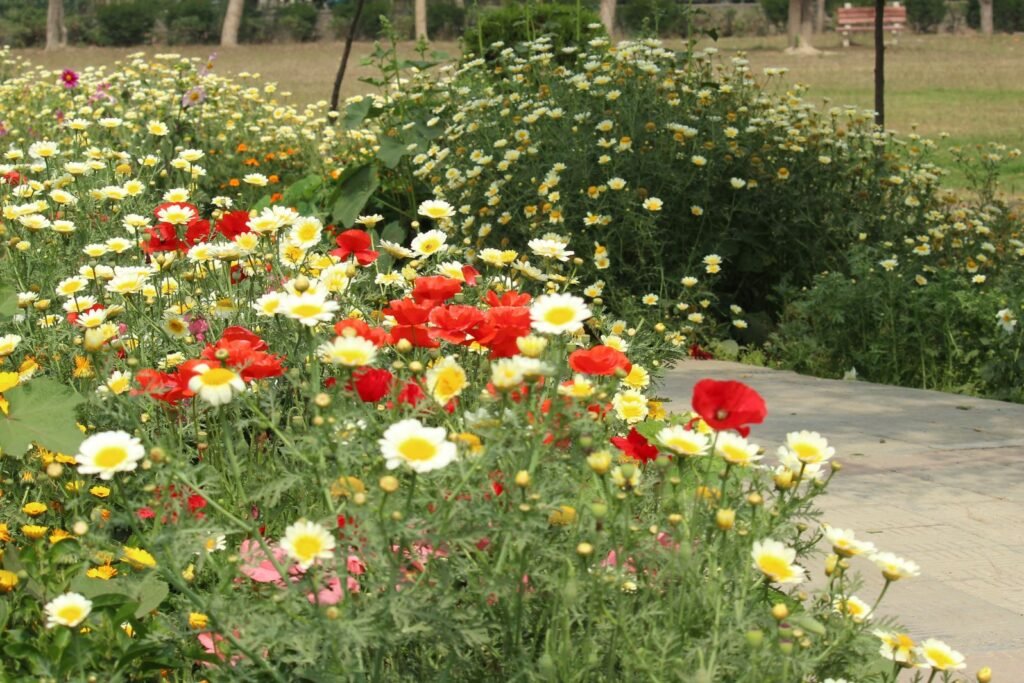 Nearest Metro Station to Amrit Udyan